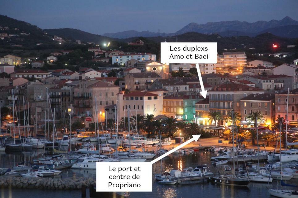 Apartmán Duplex En Plein Centre Propriano  Exteriér fotografie